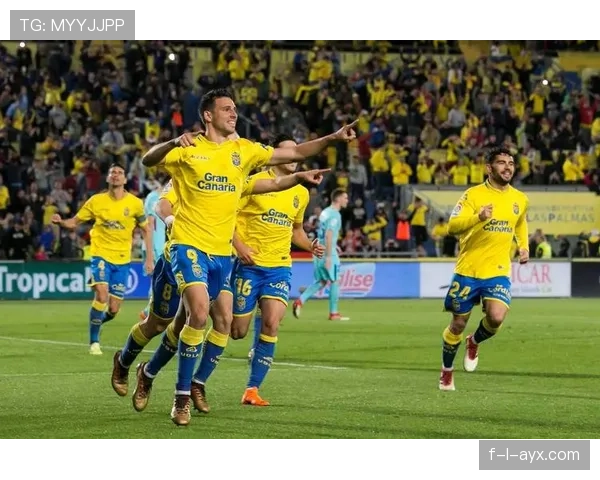 帕尔马数据分析揭示战术革新成效显著，球队胜率稳步攀升