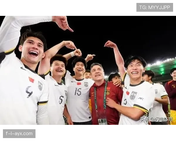 越南队勇夺AFF杯冠军,稳健表现引各界瞩目