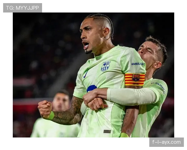 拉菲尼亚弗里克战术核心 拉菲尼亚弗里克战术核心